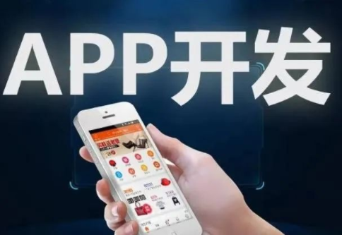 專(zhuān)業(yè)的APP開(kāi)發(fā)公司